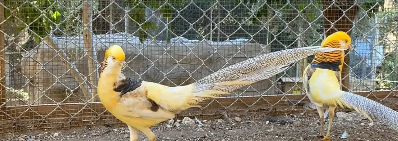 Antalya Büyükşehir Meclisi'nde İlginç Hibe! 5